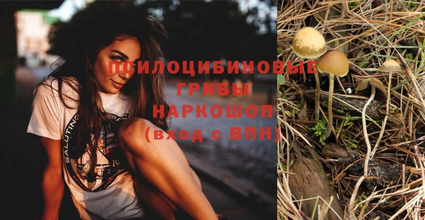 амф Абинск