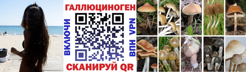 KRAKEN рабочий сайт  Отрадный  Псилоцибиновые грибы ЛСД 
